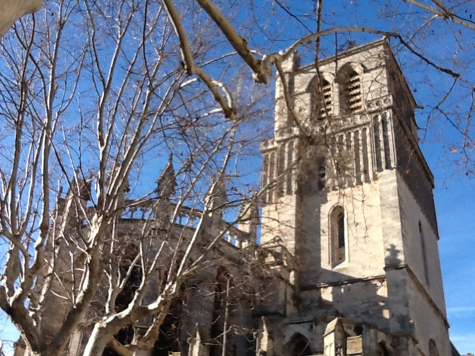 Beziers Cathedral rear